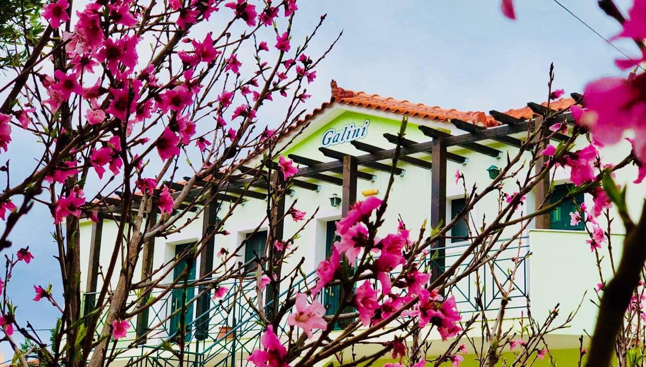 Galini Apartments Трапезаки Экстерьер фото